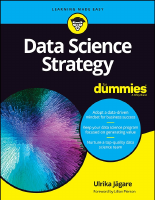 Data Science Strategy For Dummies.pdf
